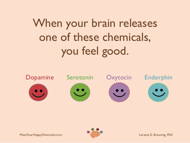 Brain on Improv Dopamine, Serotonin, Endorphin, Oxytocin